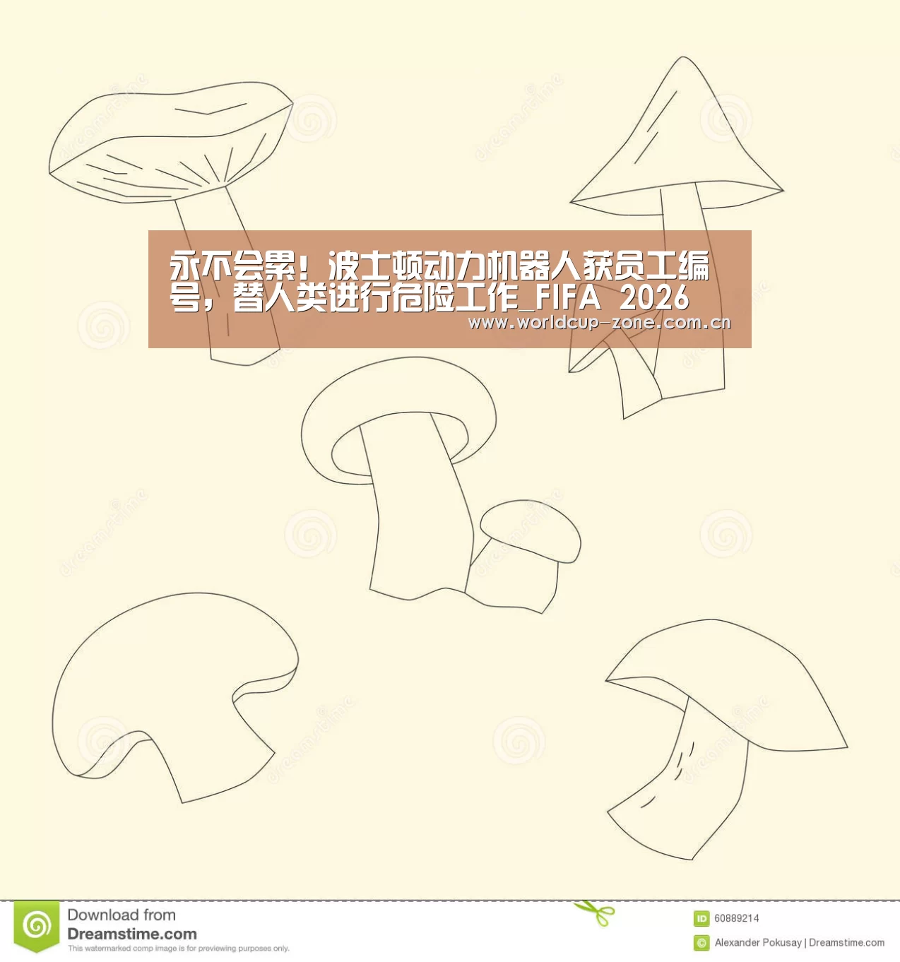 世界杯直播